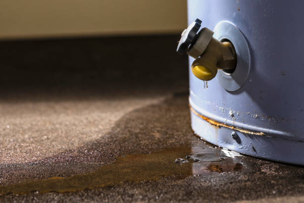 Best Basement water damage restoration  in Snoqualmie, WA