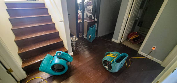 Best Ceiling water damage repair  in Snoqualmie, WA