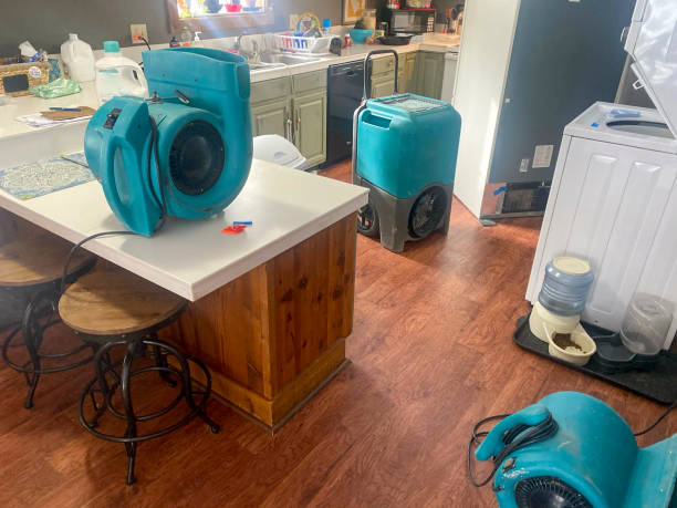 Best Professional water damage repair  in Snoqualmie, WA
