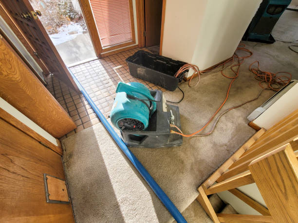 Best Water damage restoration specialists  in Snoqualmie, WA