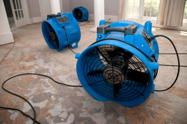 Best 24/7 water damage repair  in Snoqualmie, WA