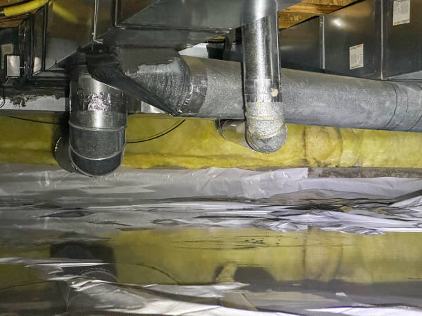 Best Water damage restoration mold remediation  in Snoqualmie, WA