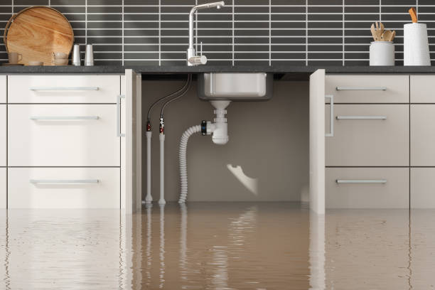 Best Local water damage restoration  in Snoqualmie, WA